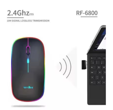 Wireless Optical Mouse