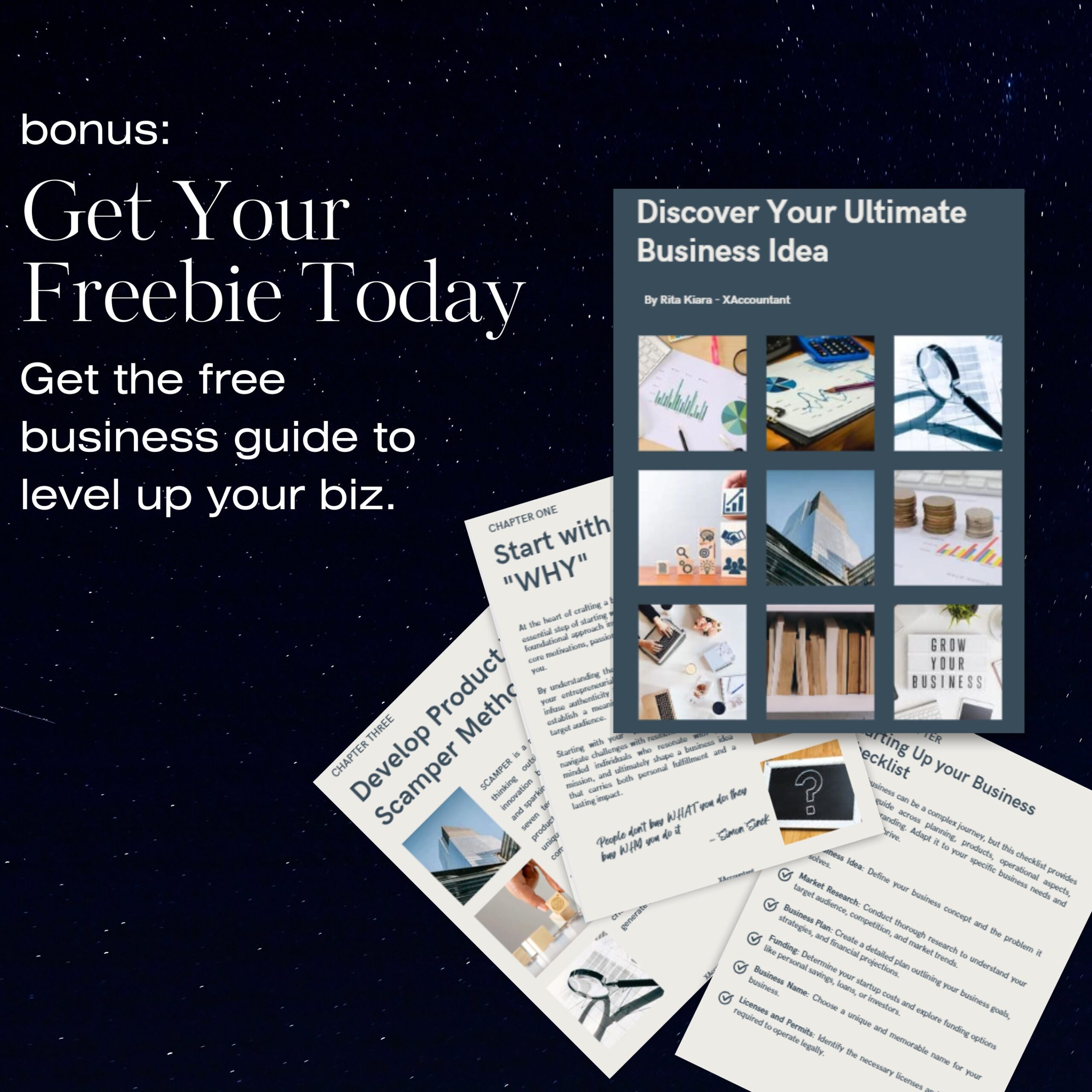 Small Business Bookkeeping Google Sheet: Budget & Sales Tracker (Digital Download)